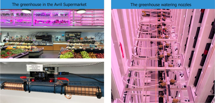 Avril Supermarket Vulcan mineral descaler greenhouse